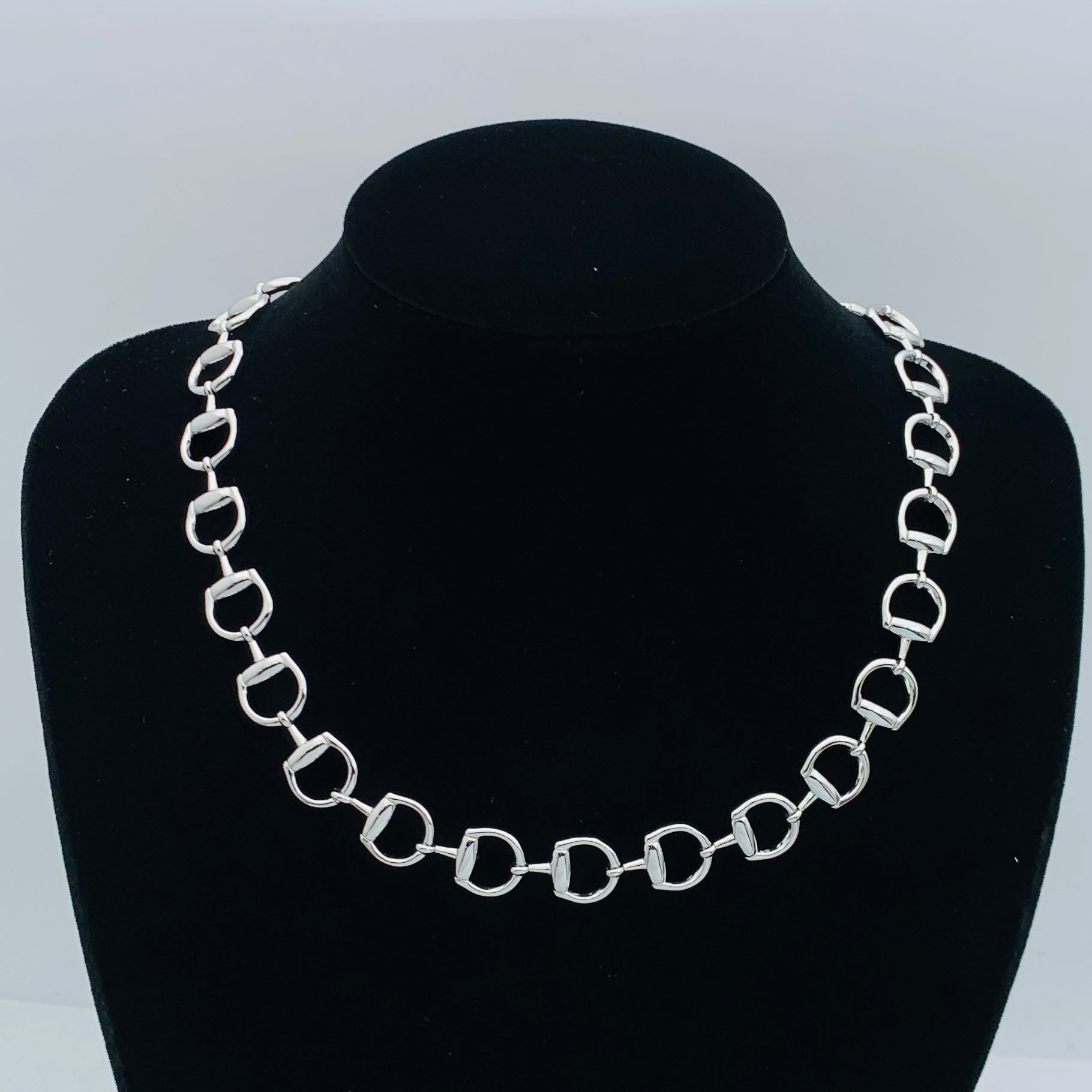 Horsebit Chain Jewelry Set