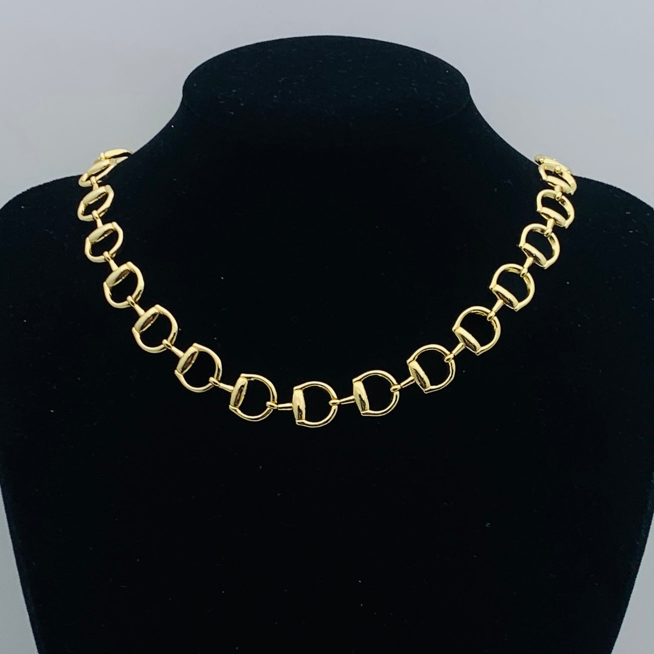 Horsebit Chain Jewelry Set
