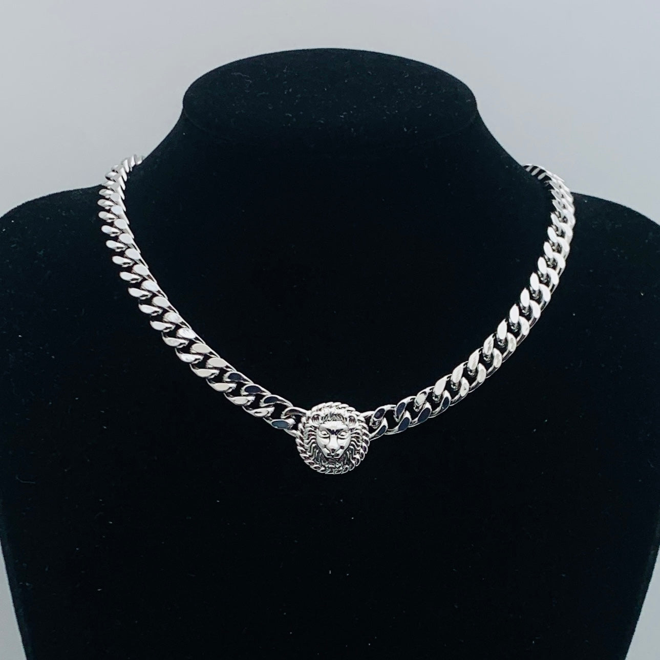 Lion Head Jewelry Set
